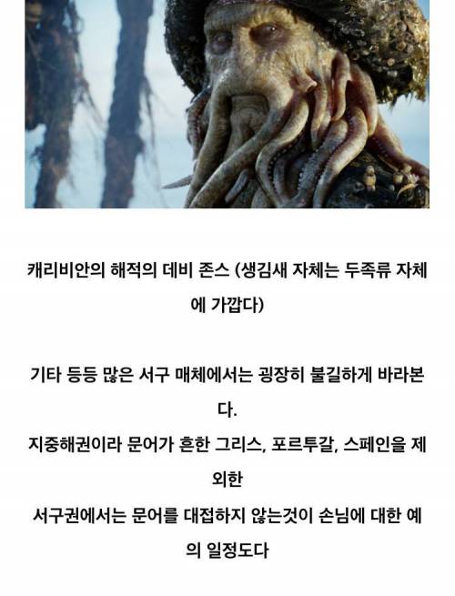 [스압] 동양권과 서양권의 취급이 극명하게 나뉘는 생물