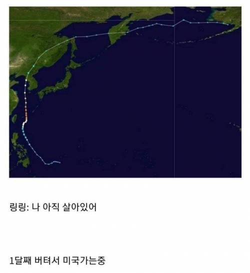 태풍 링링 근황.jpg