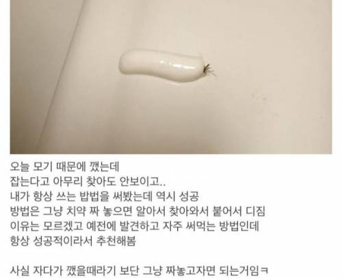 모기잡는 팁.jpg