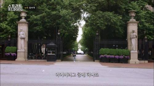 급기야 미국 대학생들까지 약올리는 백종원.jpg