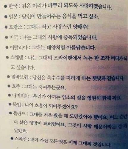 국가별 청혼 멘트.jpg