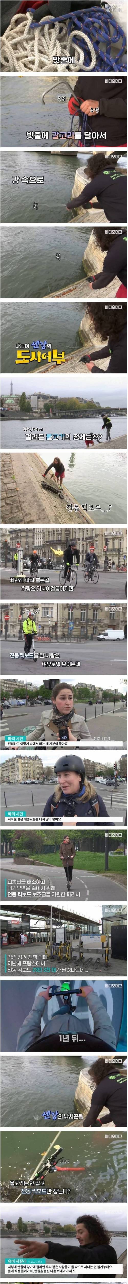 [스압] 프랑스도 킥라니 문제.jpg