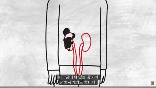 [스압] 암을 정복하기 어려운 이유.jpg