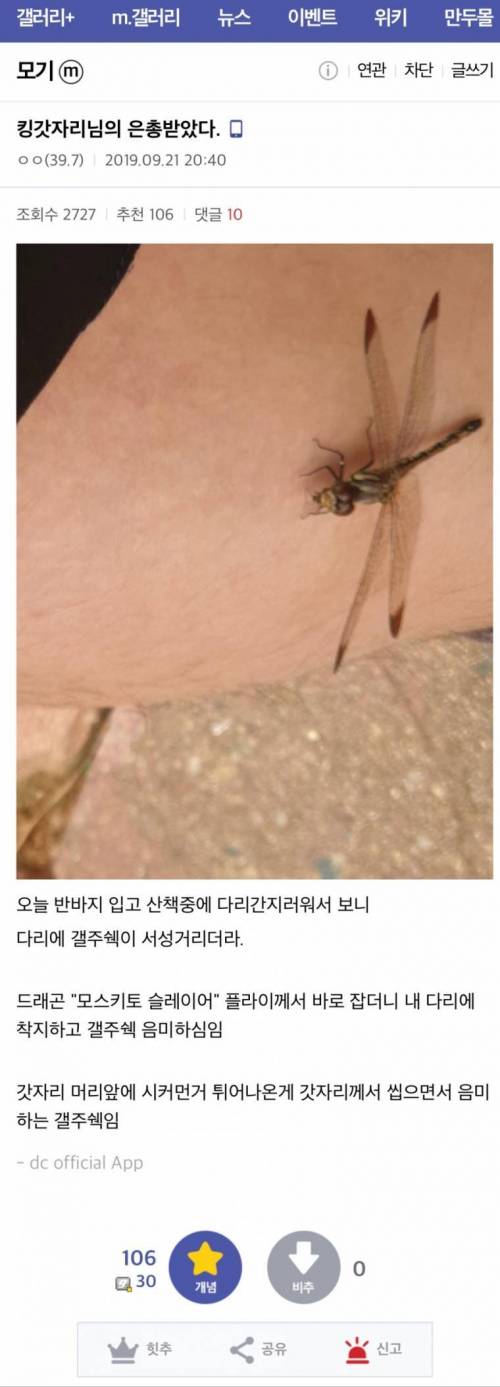 모기갤러리 유저가 감격을 금치 못했던 사건.jpg