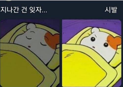 소심한 사람들 특징.jpg
