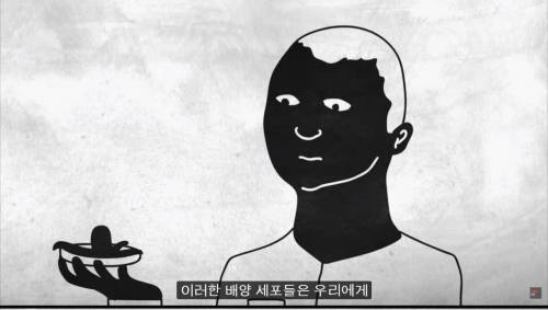 [스압] 암을 정복하기 어려운 이유.jpg