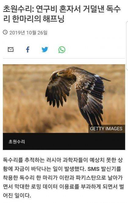 혼자서 연구비 거덜 낸 독수리.jpg