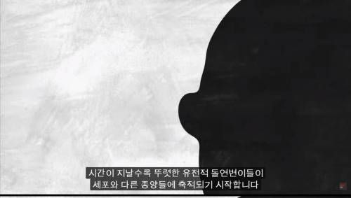 [스압] 암을 정복하기 어려운 이유.jpg