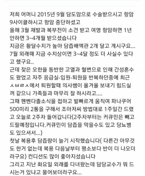 강아지 구충제 암치료 근황