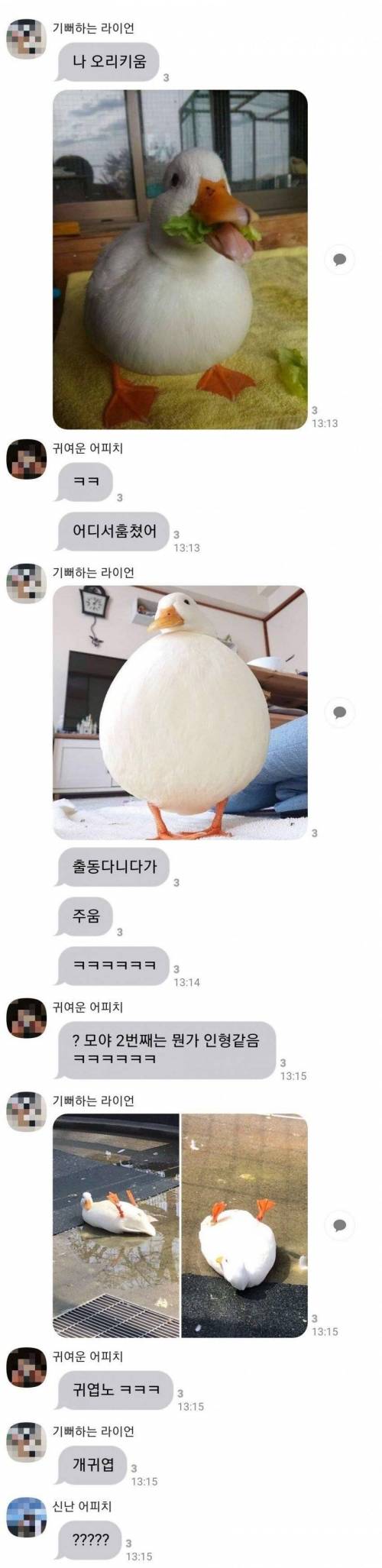 나 오리 키워.jpg