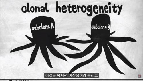 [스압] 암을 정복하기 어려운 이유.jpg