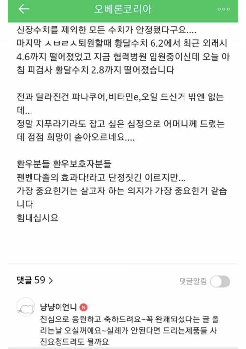 강아지 구충제 암치료 근황