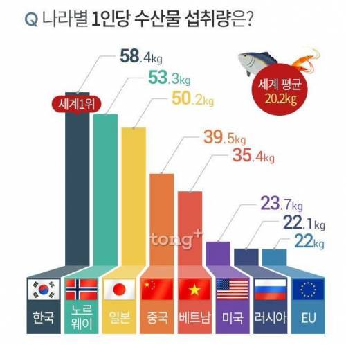 나라별 1인당 수산물 섭취량....jpg
