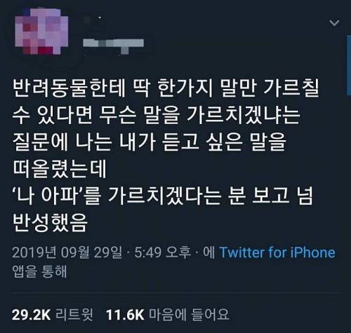 반려동물한테 딱한가지 말을 가르칠수 있다면.jpg