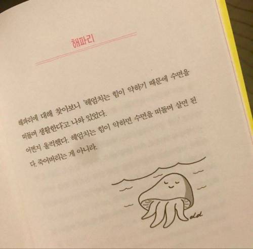 해파리의 삶.jpg