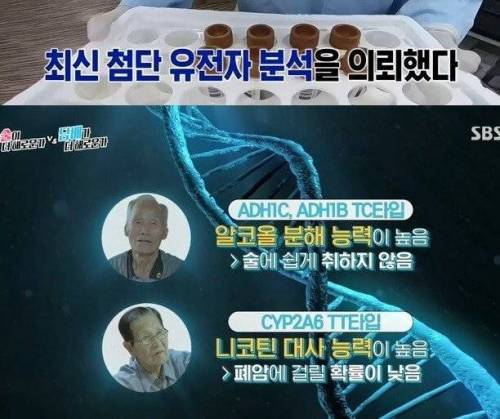 [스압] 술이 해로운가? 담배가 해로운가?