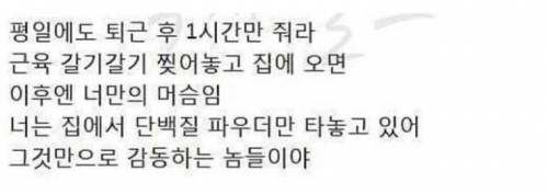 헬스남이 최고의 남편인 이유