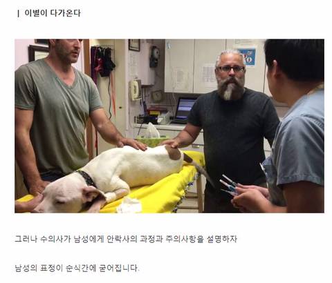 웃으며 반려견을 안락사 시키려고 했던 남자.jpg