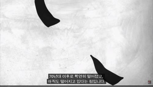 [스압] 암을 정복하기 어려운 이유.jpg
