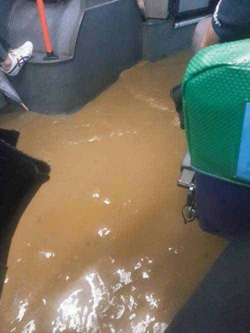 어제자 창원 버스 상황.jpg