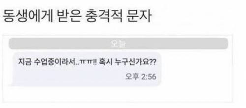 동생에게 받은 충격적 문자