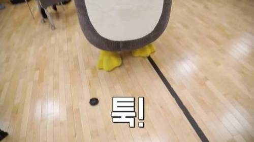 [스압] 고통받는 펭수TV 스탭들....jpg