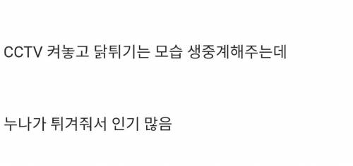 우리동네에서 가장 인기많은 치킨집.jpg
