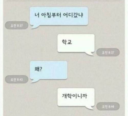 아들한테 관심이 없는 엄마.jpg