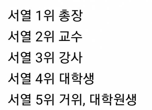 카이스트 서열 5위 패거리.jpg