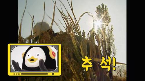 [스압] 초딩들이 뽑은 추석날 친척들에게 듣기싫은 잔소리