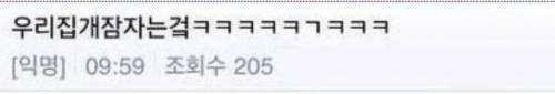 우리집 개 잠자는것좀 봐.jpg