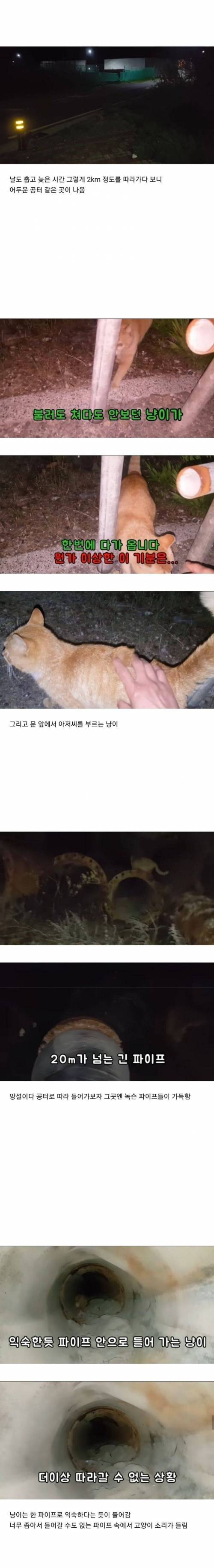 [스압] 고양이를 따라 파이프에 들어갔더니