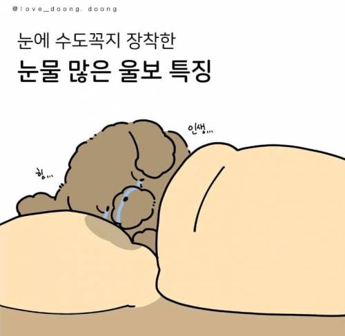 눈물 많은 울보 특징.jpg