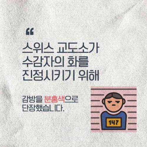 부끄러워서 죄짓고 싶지 않다는 스위스 핑크 교도소.jpg