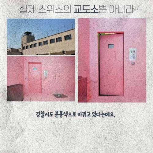 부끄러워서 죄짓고 싶지 않다는 스위스 핑크 교도소.jpg