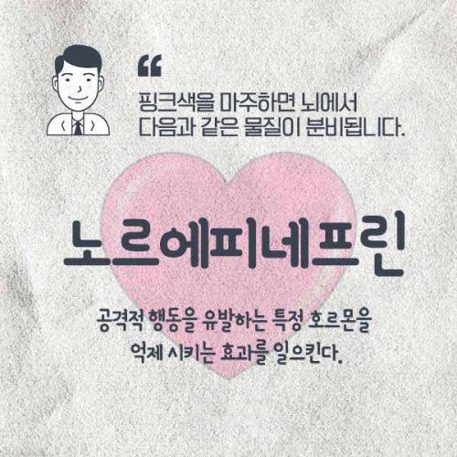 부끄러워서 죄짓고 싶지 않다는 스위스 핑크 교도소.jpg