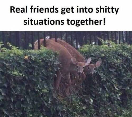 진짜 친구는.jpg