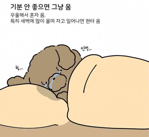 눈물 많은 울보 특징.jpg