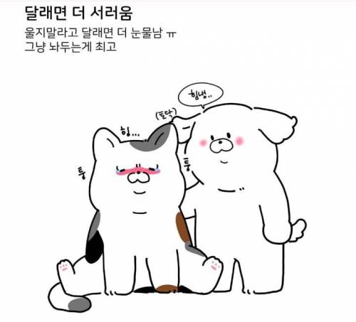 눈물 많은 울보 특징.jpg