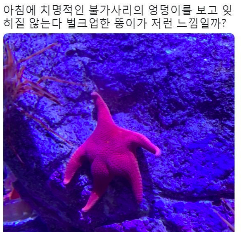 치명적인 엉덩이.jpg