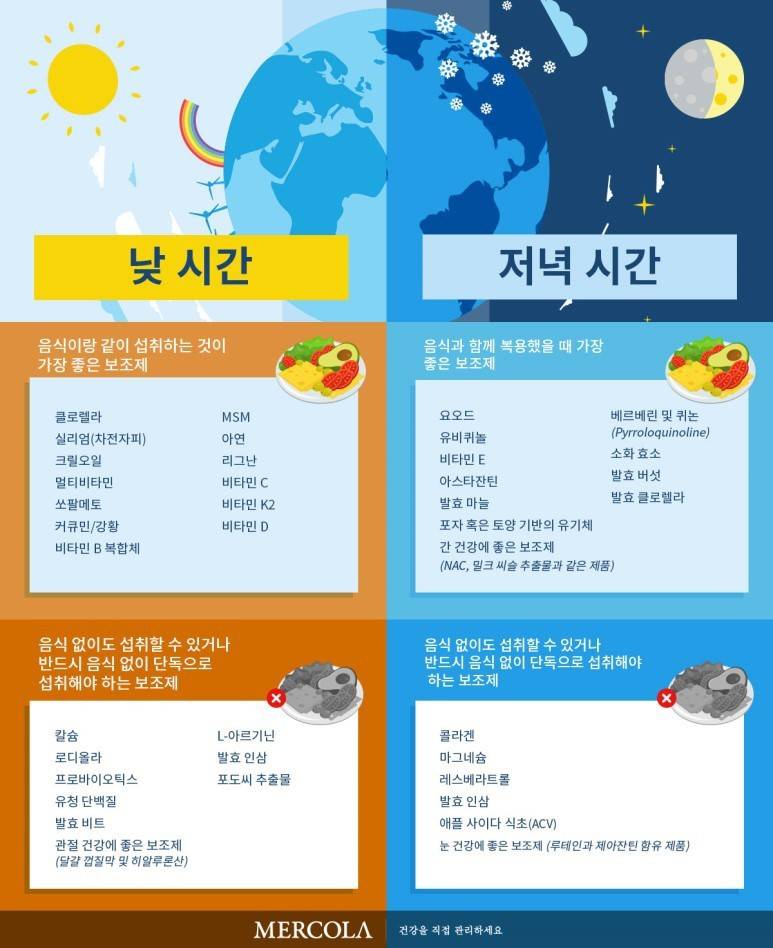 영양제 종류별 섭취방법 1장으로 정리.jpg
