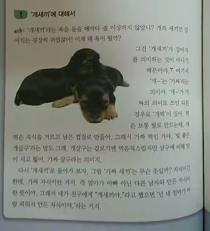 개새끼의 진짜 뜻.jpg