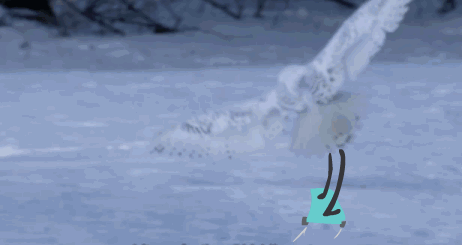 올빼미에게 손과 발이 있다면.gif
