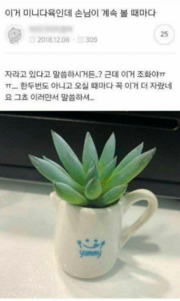 난감한 손님.jpg