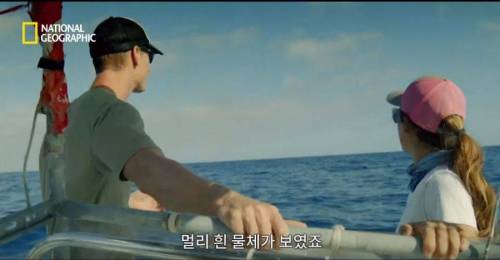 [스압] 향유고래 시체가 불러온 바다의 거인.jpg