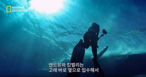 [스압] 향유고래 시체가 불러온 바다의 거인.jpg