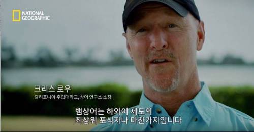[스압] 향유고래 시체가 불러온 바다의 거인.jpg