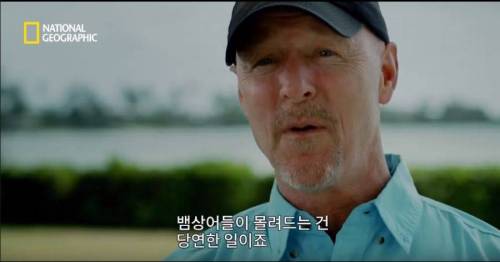 [스압] 향유고래 시체가 불러온 바다의 거인.jpg