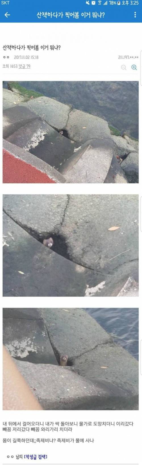 산책하다 발견한 동물