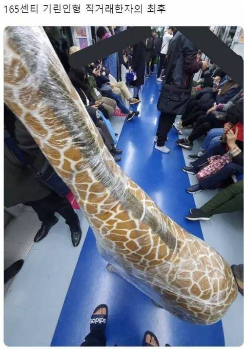 165센치 기린인형 직거래 최후.jpg